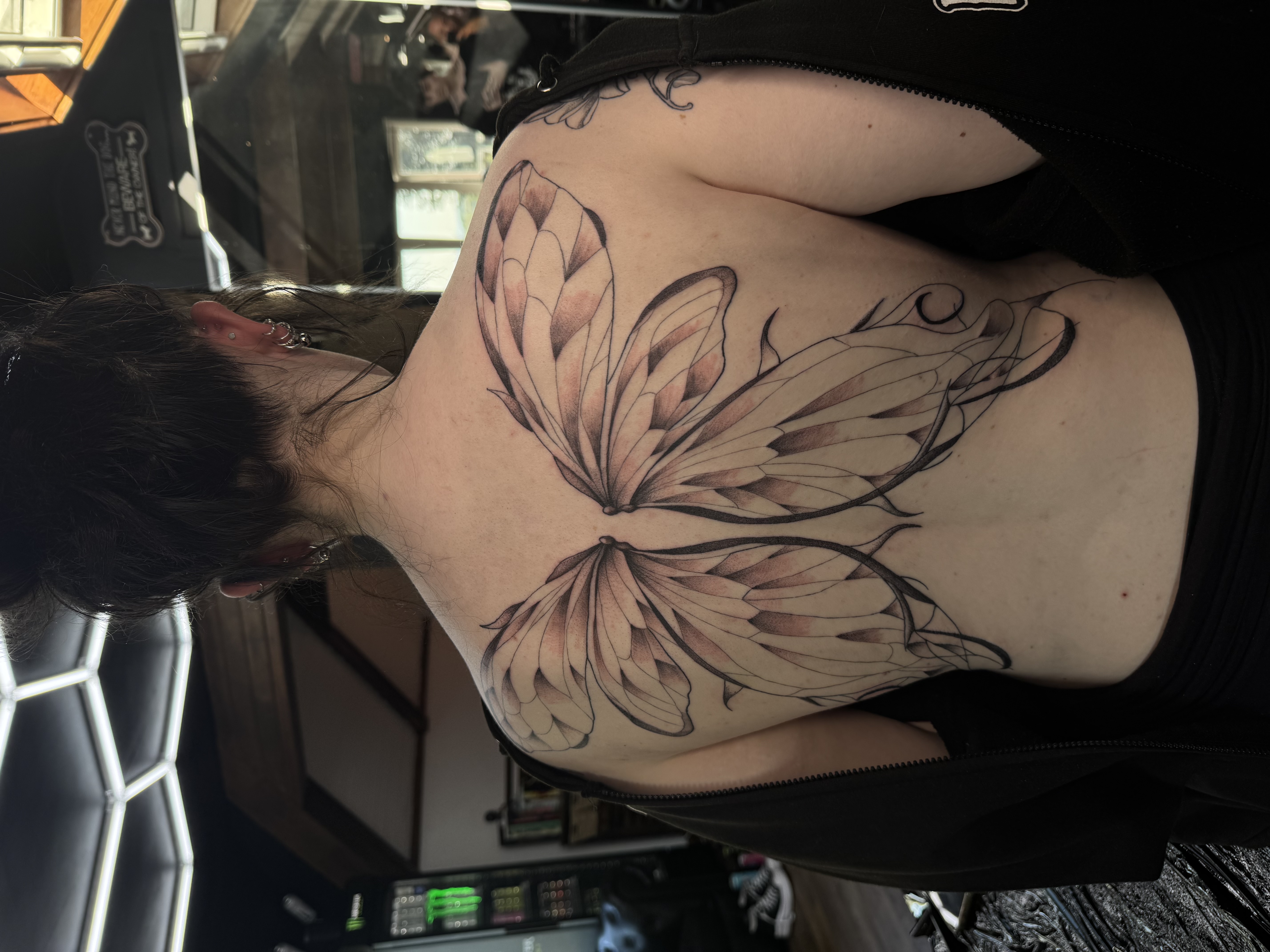 Large black and grey fineline wing tattoo across the upper back